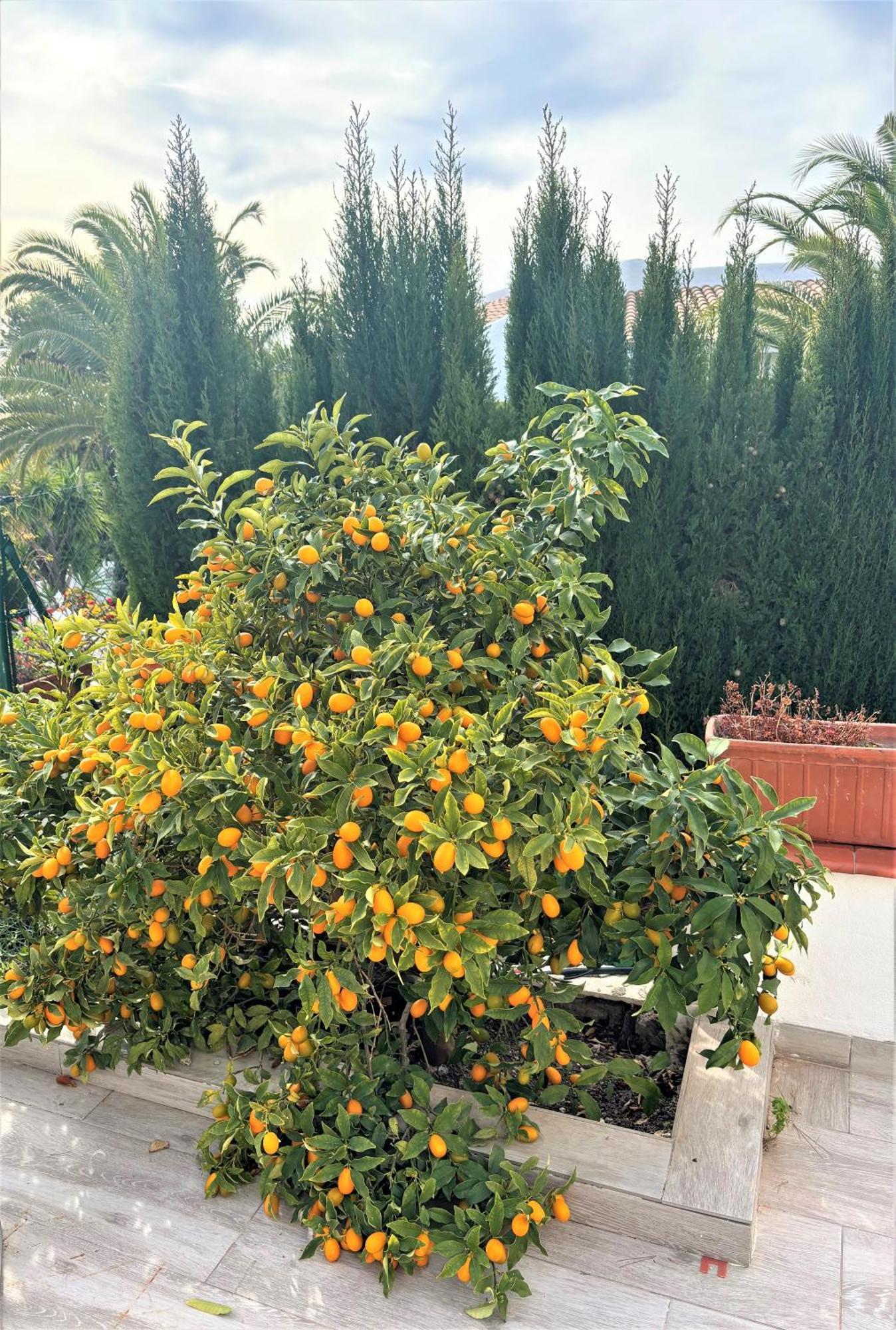 Villa Esmeralda Altea la Vieja Luaran gambar