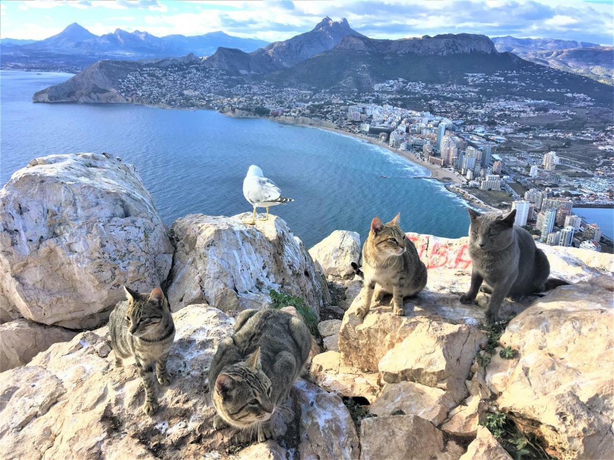 Villa Esmeralda Altea la Vieja Luaran gambar